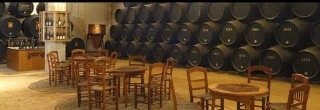 Zona de catas
